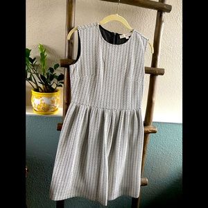 Ann Taylor Loft 4 Petite Dress